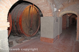 Castiglione in Teverina - Il museo del vino