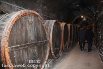 Castiglione in Teverina - Il museo del vino
