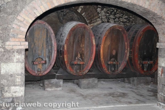 Castiglione in Teverina - Il museo del vino