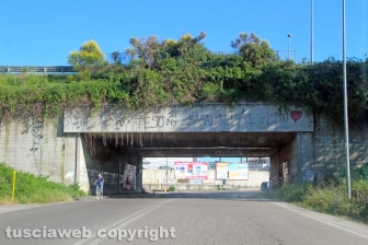 La zona del Poggino