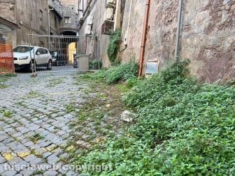 L'abbandono di via dei Magazzini