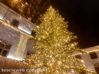 Viterbo - L'accensione dell'albero di Natale a piazza del Comune