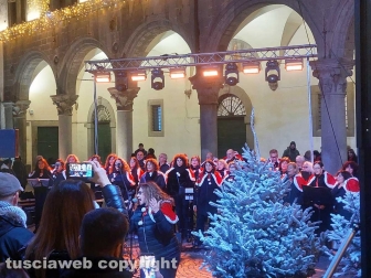 Viterbo - L'accensione dell'albero di Natale a piazza del Comune