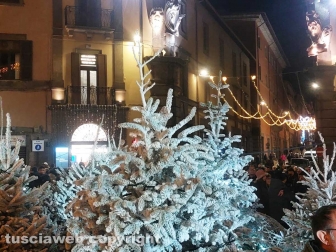 Viterbo - L'accensione dell'albero di Natale a piazza del Comune