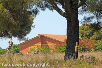 Tarquinia - L'aeroporto Americo Sostegni