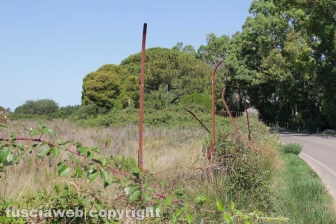 Tarquinia - L'aeroporto Americo Sostegni