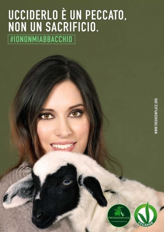L'agnellina Cesarina "superstar"