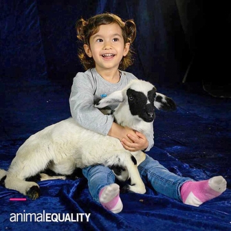 L'agnellina Cesarina "superstar"