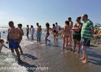 L'airshow a Montalto di Castro