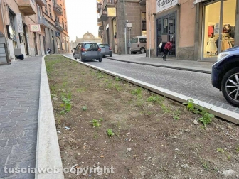 L’aiuola di via Matteotti