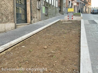 L’aiuola di via Matteotti