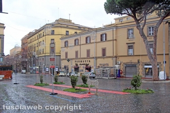 L'albero di piazza del Teatro