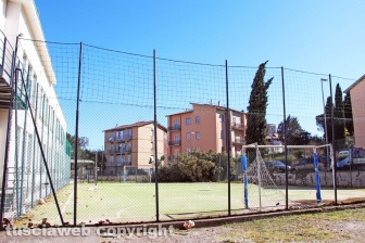 L'albero nel cortile della scuola