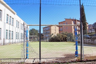 L'albero nel cortile della scuola
