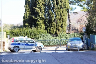 L'albero nel cortile della scuola