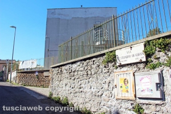 L'albero nel cortile della scuola