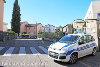 L'albero nel cortile della scuola