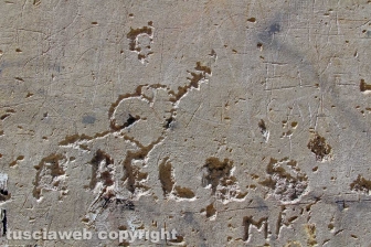 L'amore sui muri