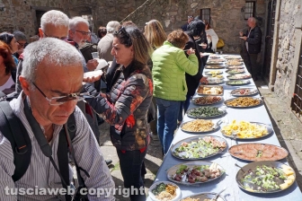 L'apertura straordinaria della Torre animata