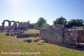 L'area archeologica di Ferento