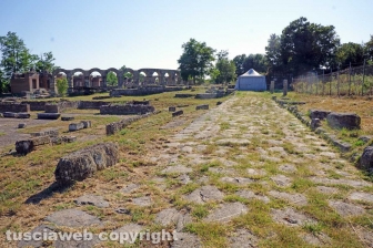 L'area archeologica di Ferento
