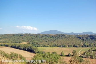 L'area archeologica di Ferento