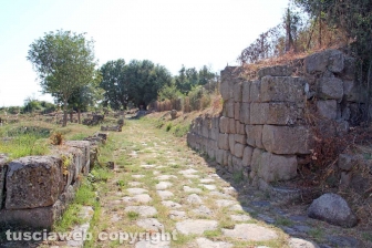 L'area archeologica di Ferento