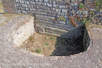 L'area archeologica di Ferento