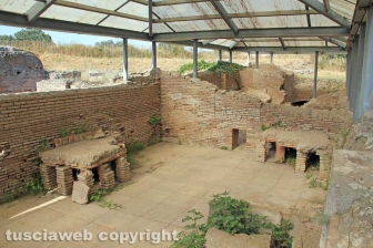 L'area archeologica di Ferento