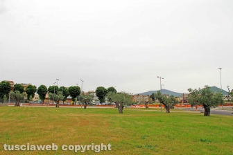 L'area commerciale