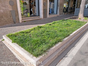 Le aiuole di via Marconi