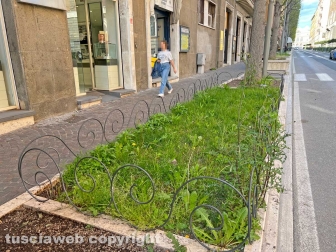 Le aiuole di via Marconi