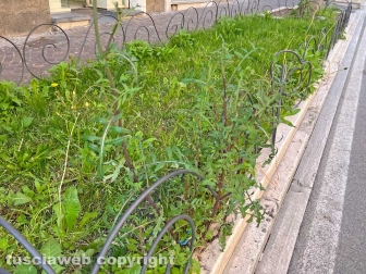 Le aiuole di via Marconi