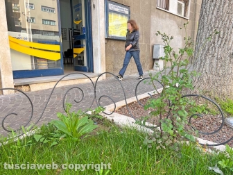 Le aiuole di via Marconi