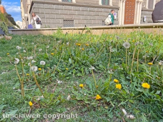 Le aiuole di via Marconi