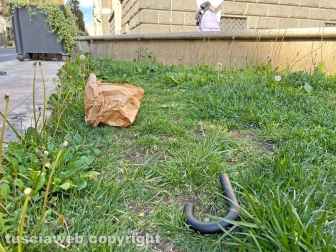 Le aiuole di via Marconi