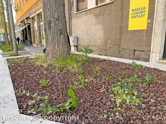 Le aiuole di via Marconi