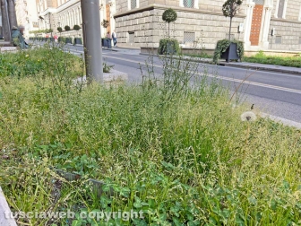 Le aiuole di via Marconi