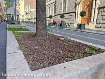 Le aiuole di via Marconi