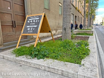 Le aiuole di via Marconi