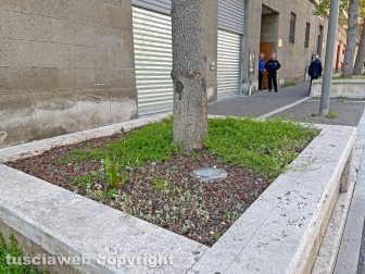 Le aiuole di via Marconi