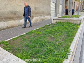 Le aiuole di via Marconi