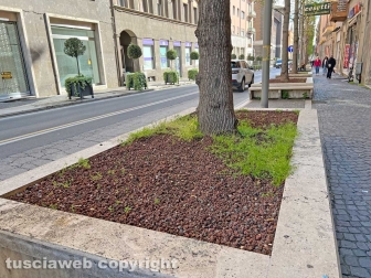 Le aiuole di via Marconi