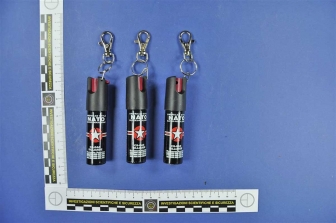 Le armi sequestrate dai carabinieri