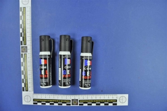 Le armi sequestrate dai carabinieri