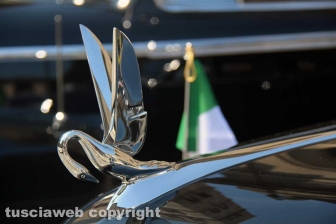 Le auto dei papi in esposizione
