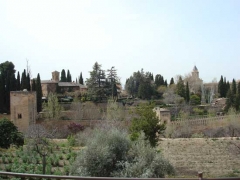 Suggestivi scatti dal sud della Spagna