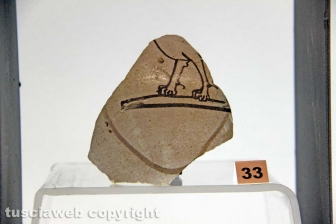 Le ceramiche del butto di Celleno