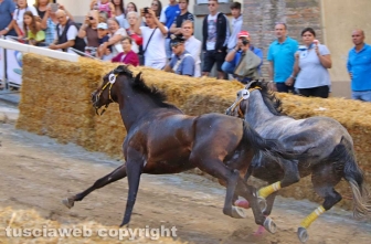 Ronciglione - Le corse a vuoto