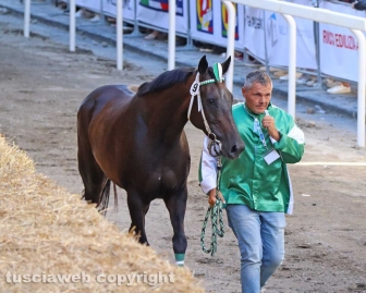 Ronciglione - Le corse a vuoto